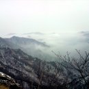 계룡산약국 Daum카페