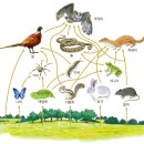 평생교육경영론 이미지