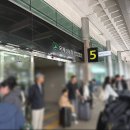 제주보고타 | 제주렌터카가격비교 찜카 할인쿠폰 사용 후기｜팰리세이드 8인승