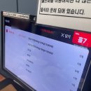 박군 | [내돈내산] 오산 동탄 소고기 생갈비살 맛집 박군꽃소 솔직후기