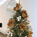 러버블리 이미지