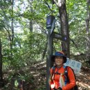 매봉약수 이미지