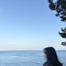 봄까지 나의 일상을 낋여요