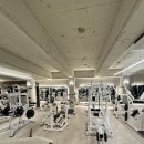 인싸짐 계산점 이미지