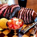 캐치홀릭 이미지