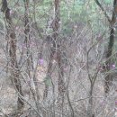 목은이색기념관 이미지