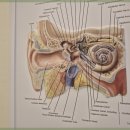 귀팡보청기난청센터 이미지