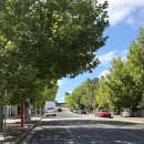 (주)블루렌트카 이미지