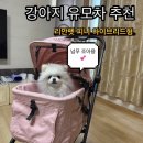 펫드라이브 | 🐶 리안펫 피니 하이브리드형 강아지 유모차 내돈내산 구매 후기｜일체형 + 분리형의 완벽 조합