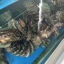 장자집 국밥 이미지