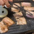 학동 애견 이미지