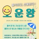 [폴댄스 전문 1급 도쩐] 4. 이글(업이글/다운이글) / 평촌 운동 폴댄스