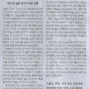 국제기획 Daum카페