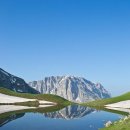 자연과  건강 이미지