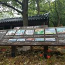 함평신흥해수찜 이미지