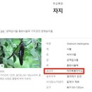 바다PC방 이미지