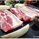 제주삼다도야지