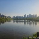 블루칩부동산공인중개사사무소 이미지