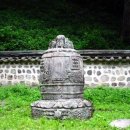 백양사진입로 이미지