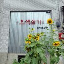 고품격떡한과 B반 | 성남 떡집 오색설기 디저트공방 개성약과 금귤정과 후기