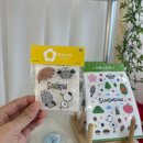 [10/11] 프리저브드 플라워 미니센터피스 - 원데이 클래스 | 선물하기 좋은 소품샵 순천 꽃빛상점 내돈내산 후기(꽃, 아기 헤어핀, 굿즈, 답례품 등)