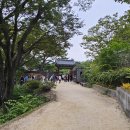 (주)자연제국 | 자연과 조화를 이룬 궁궐, 창덕궁과 낙선재의 아름다움
