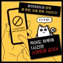 움찬태권도 이미지