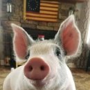 신촌1길 이미지