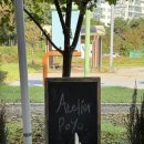 아뜰리에 포요(Atelier poyo)