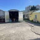 돼지세상 | 제주 흑돈세상 수라간 내돈내산 흑돼지식육식당 내돈내산후기