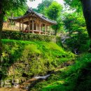 바람이 머무는 집 이미지