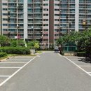 용호2로 Daum카페