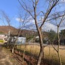 깊은내펜션 이미지