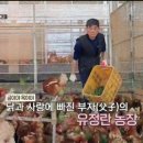 김태현농장 이미지