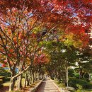 유니싸이언스 이미지