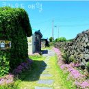 클라우드 애월 네이버블로그