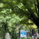 중앙정미소 | 강원도 속초 여름휴가 1일차 (고궁회관, 설악케이블카, 초당커피정미소, 속초중앙시장, 썬라이즈 호텔)