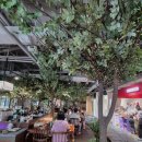 돈까스익스프레스 이미지