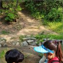 수원-1241 이미지