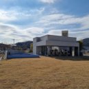 하이멍멍 이미지