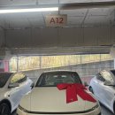 등촌정비센타 | 2026 테슬라 모델 Y 인도 후기｜모터스킨 PPF 신차패키지