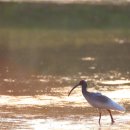 비슬산 풍경펜션 이미지