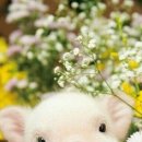 에코동물병원 이미지