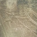 고대타이어 이미지