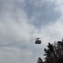 남산카서비스 | 명동 남산 맛집 추천, 미쉐린 맛집 목멱산방 남산타워점 내돈내산 솔직후기