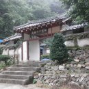 문 Daum카페