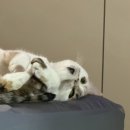 황지주유소 이미지