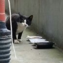 한남보건진료소 이미지