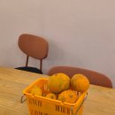 수 게스트하우스 | 제주도 여성 전용 도미토리 4인실 숙소, 한나스테이 게스트하우스 2박 후기 (내돈내산)