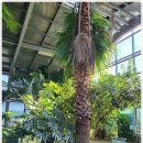 자연쌈밥 이미지